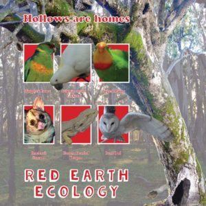 Red Earth Ecology banner that says "Hollows are homes" with local fauna.