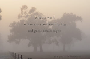 A sepia washas dawn is smothered by fog and gums retain night